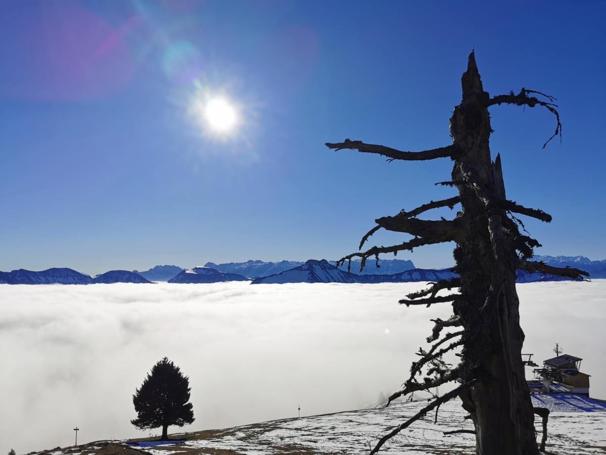 Schnaitstadl-Alm Selbstversorgerhuette Krispl Exteriör bild